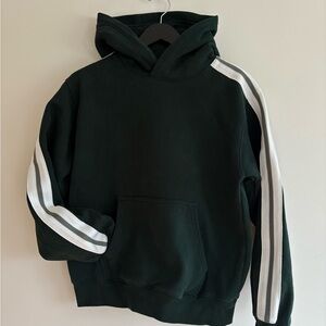 Aritzia Limited Edition Perfect Hoodie